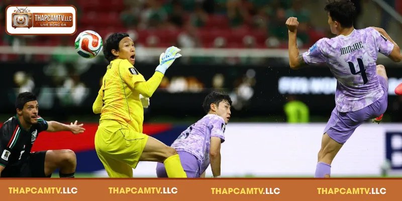 Con số kỷ lục và thực trạng đáng báo động