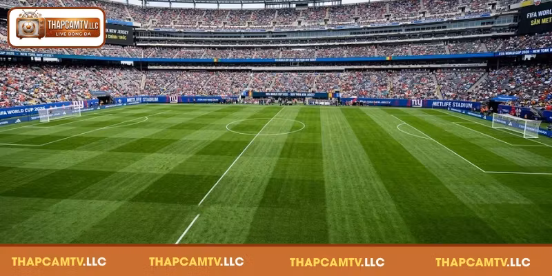 Những tranh cãi xoay quanh mặt sân World Cup 2026